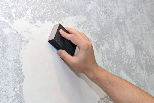 Best Residential Mold Inspection & Testing  in Palo Alto, CA