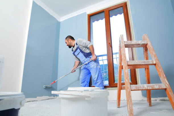 Best Basement Mold Removal  in Palo Alto, CA