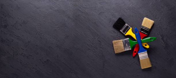 Professional Mold Removal in Palo Alto, CA
