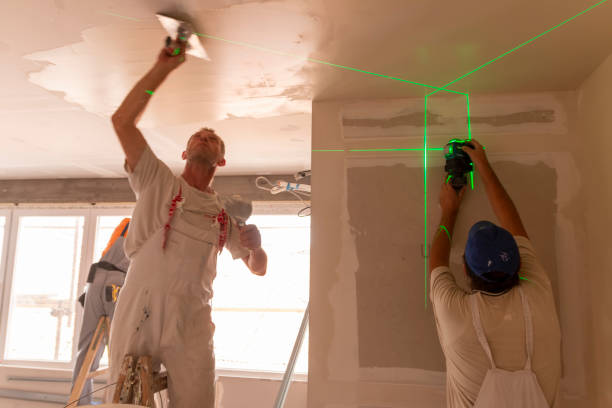 Best Real Estate Mold Inspection  in Palo Alto, CA